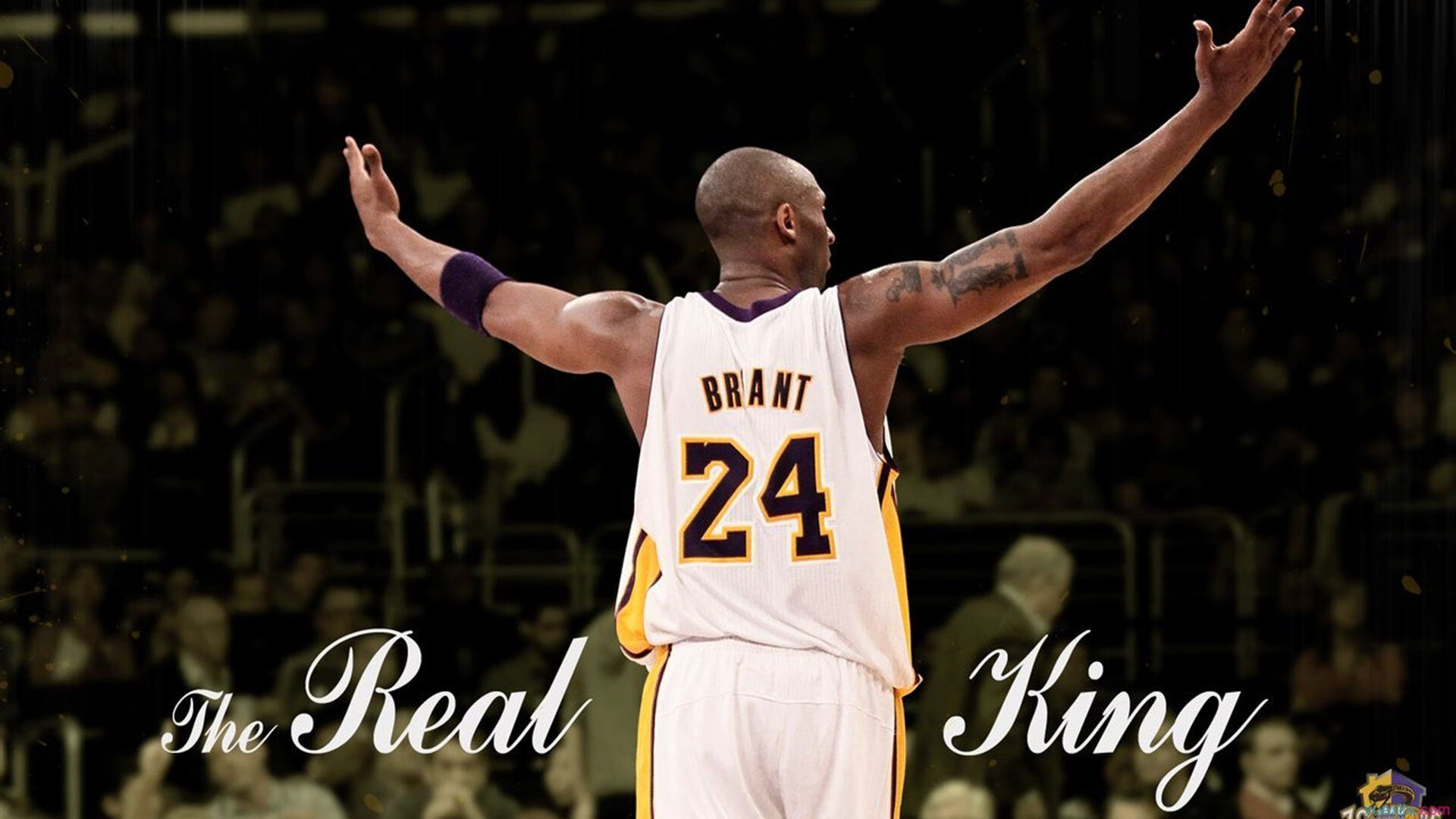 国际藤球邀请赛,东南亚运动风情浓厚,国际藤球联合会